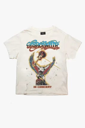 Aerosmith Live In Concert Vintage T-Shirt